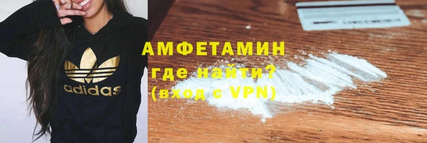 прущие грибы Абаза