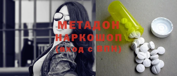 прущие грибы Абаза