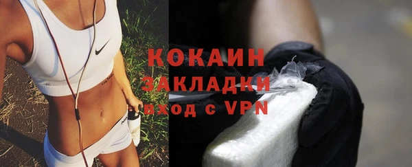 прущие грибы Абаза