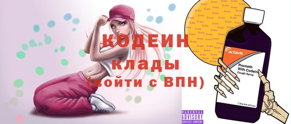 прущие грибы Абаза