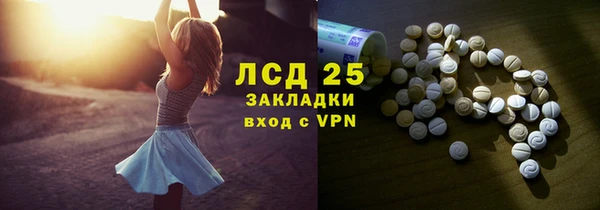 прущие грибы Абаза