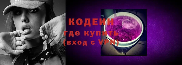 прущие грибы Абаза