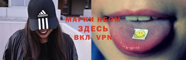 прущие грибы Абаза