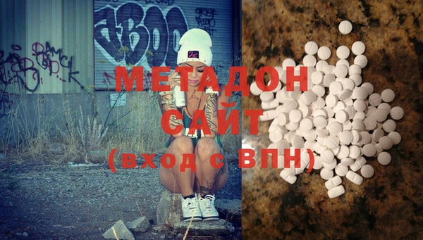 прущие грибы Абаза