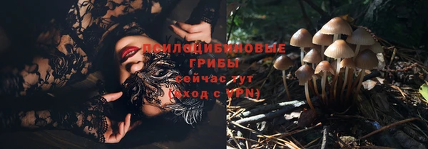 стаф Новодвинск