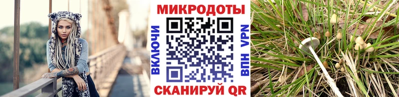 Псилоцибиновые грибы ЛСД  Орск 